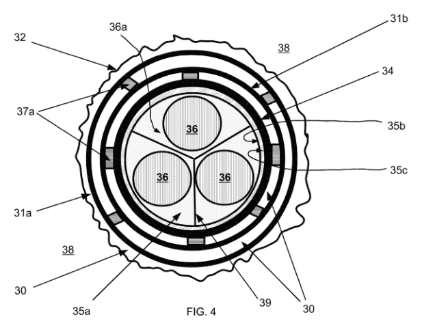 NuclearSAFE technology figure: Capsule container system